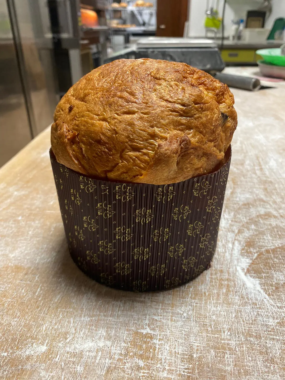 Panettone mostrado de frente