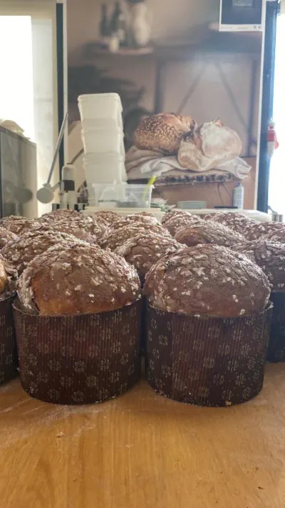 Panettone de frente
