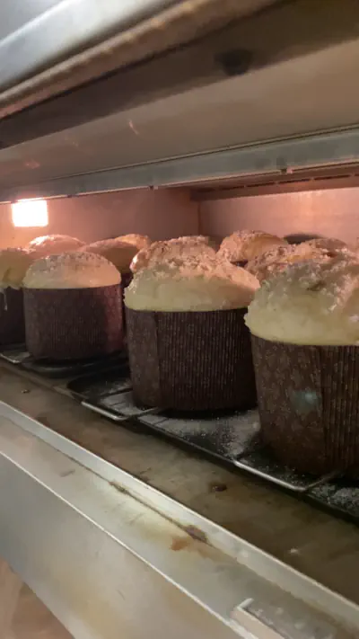 Panettone en horno