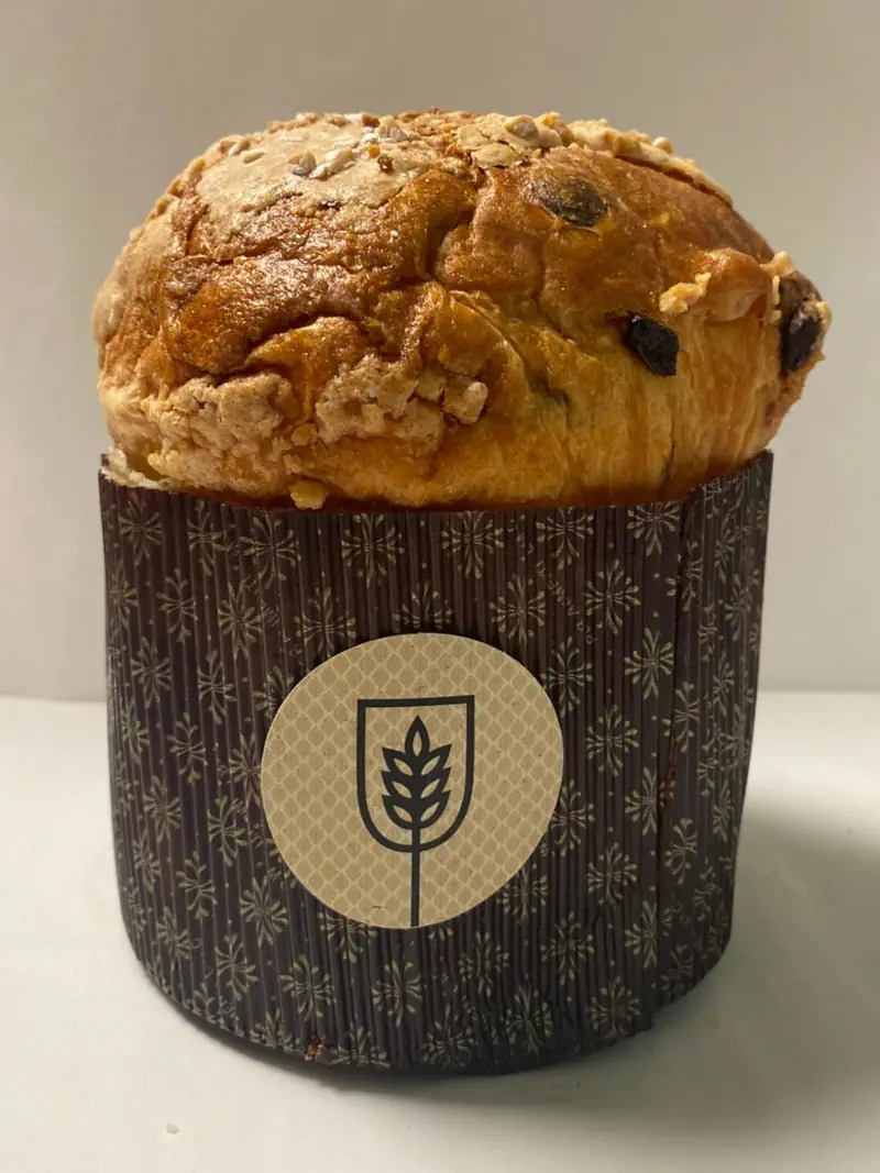 Panettone de chocolate intenso, naranja y pasas