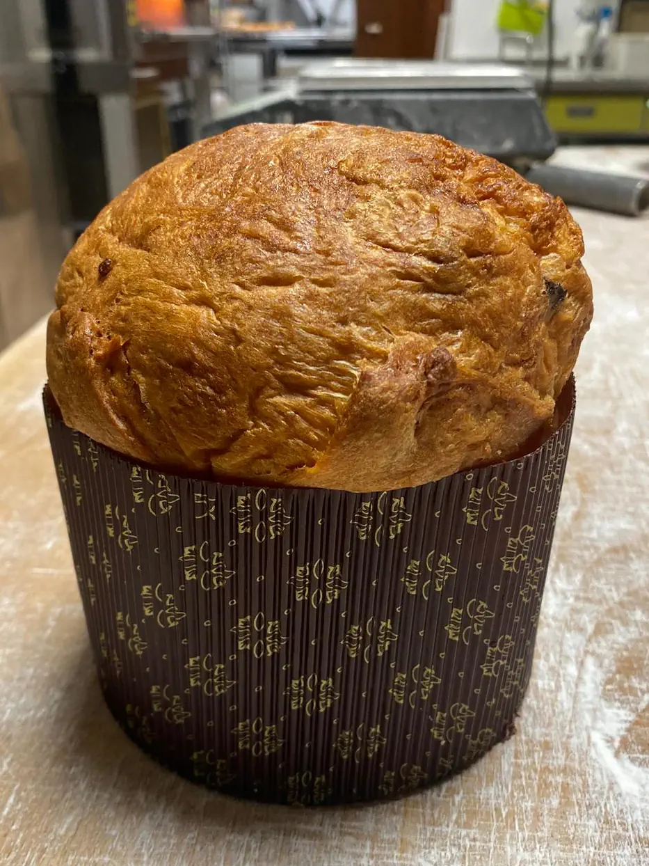 Panettone mostrado de frente