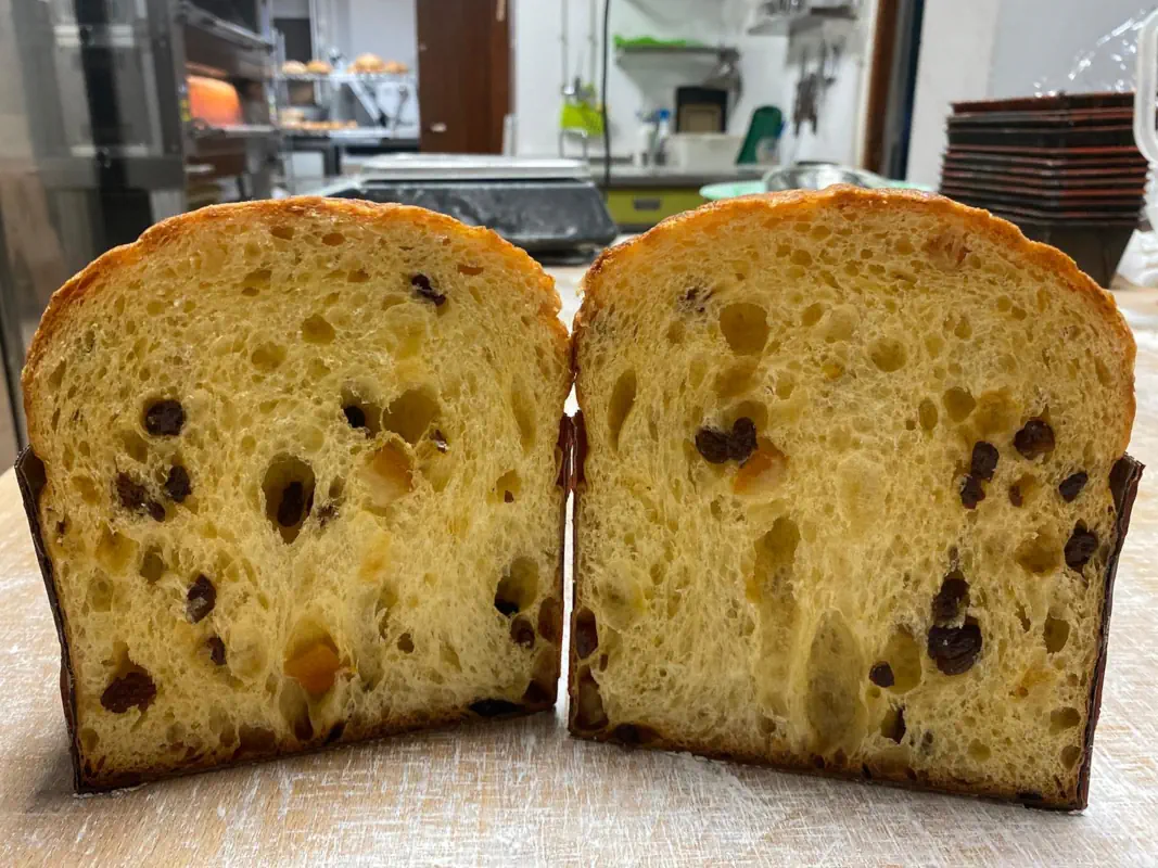 Panettone abierto